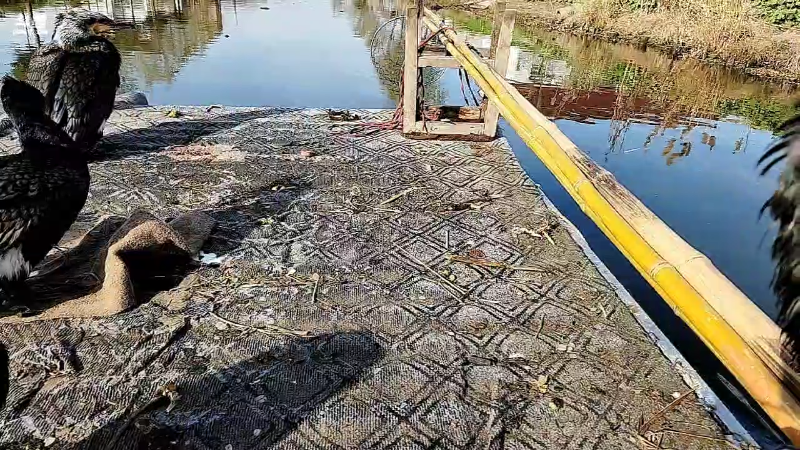 【户外】微山湖捕鱼武工队的精彩时刻 20221220 13点场