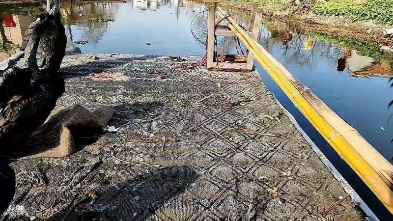 【户外】微山湖捕鱼武工队的精彩时刻 20221220 13点场