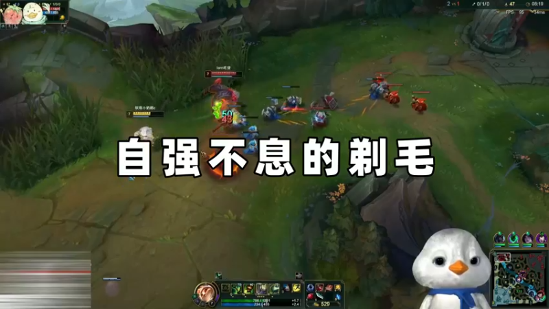 自强不息的剃毛