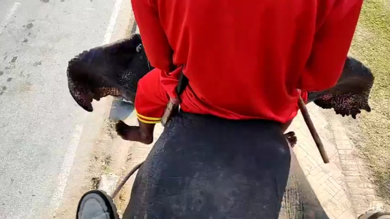 【2022-12-16 16点场】叶子户外：《纪实直播》泰国曼谷到清迈day6