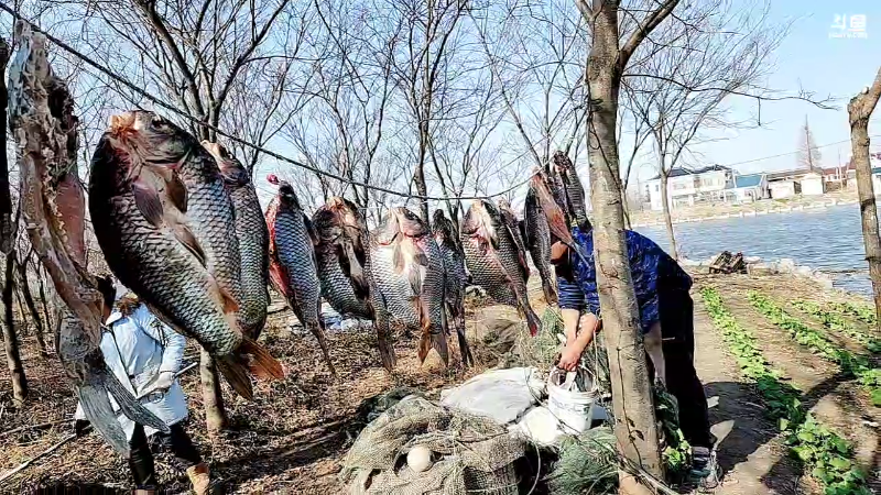 【户外】微山湖捕鱼武工队的精彩时刻 20221222 12点场