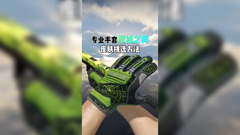 【小樱】专业手套翠绿之网皮肤挑选方法