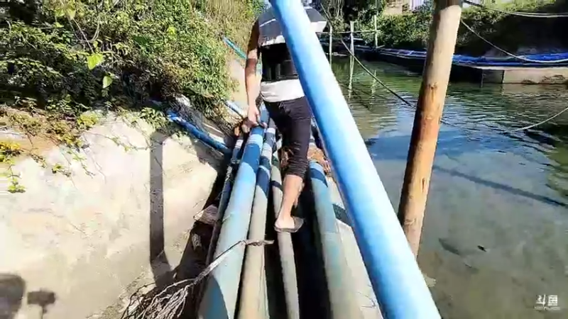 【2022-12-22 15点场】川味箩卜：【双倍】流浪海南！