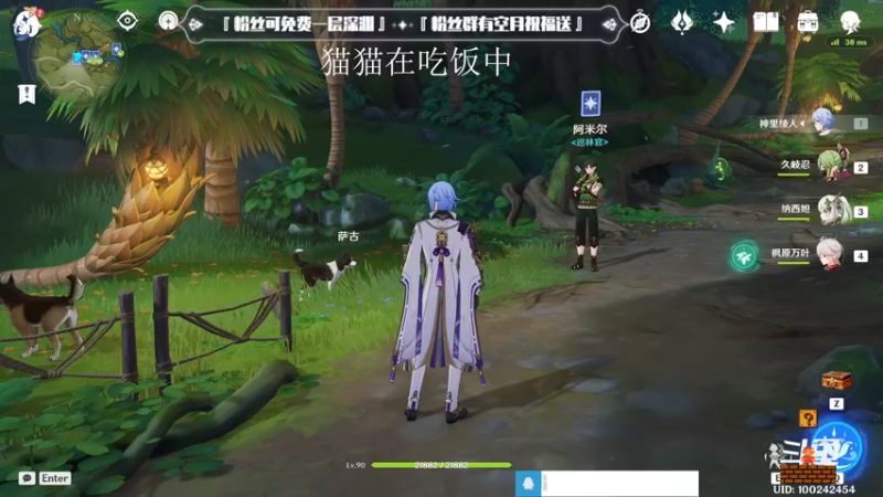 【2022-12-21 15点场】卡佬GTX1080tiPrime：『补星卡猫』你的护肝小助手