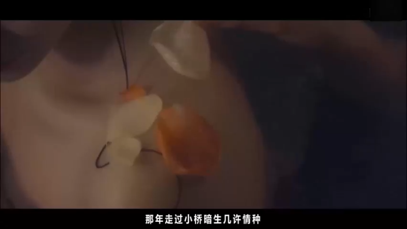 秋意花间酒-混剪