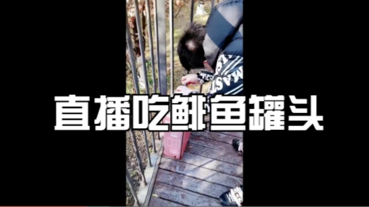 直播吃鲱鱼罐头1