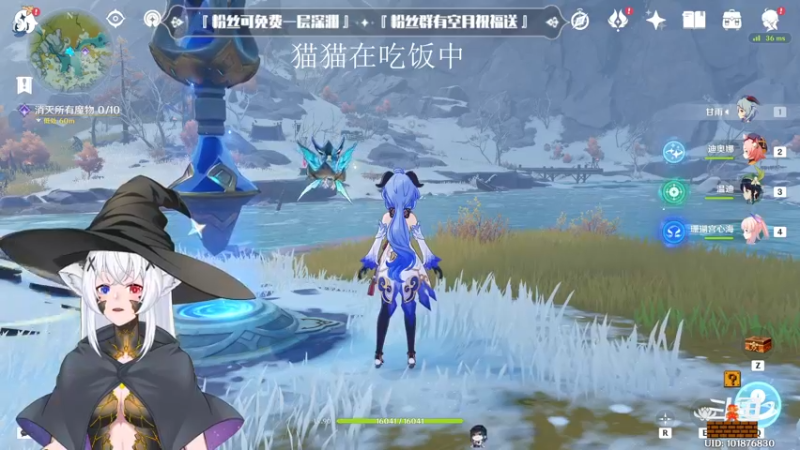 【2022-12-22 17点场】卡佬GTX1080tiPrime：『补星卡猫』你的护肝小助手