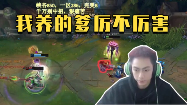 队友快来看看我养的好大爹