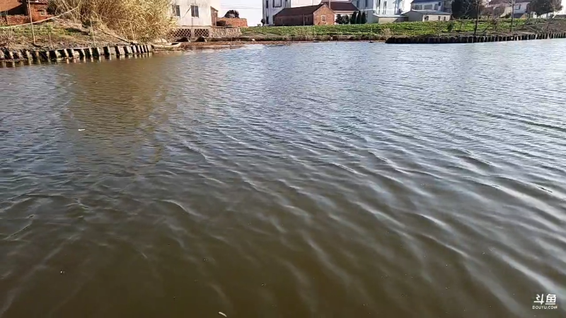 【户外】微山湖捕鱼武工队的精彩时刻 20221224 14点场