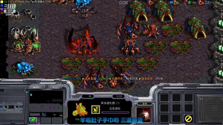 天使风暴专业版DSA8.2.6x40 10