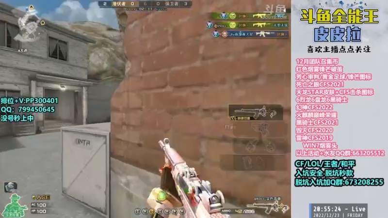 【2022-12-23 20点场】皮皮拉3004O1：皮皮拉:冲击枪王之王前十！