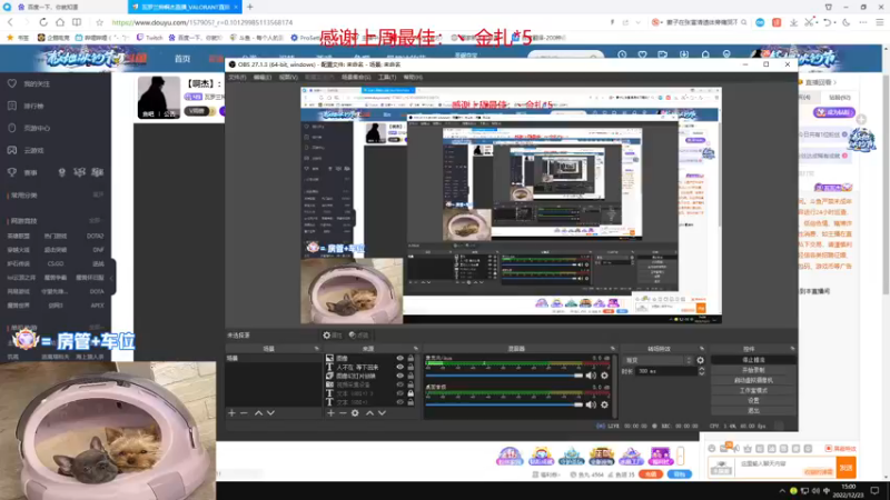 【2022-12-23 15点场】瓦罗兰特啊杰：【啊杰】：极致的瞄准才是王道