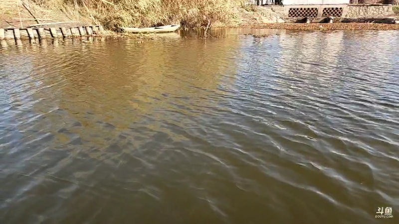 【户外】微山湖捕鱼武工队的精彩时刻 20221224 14点场