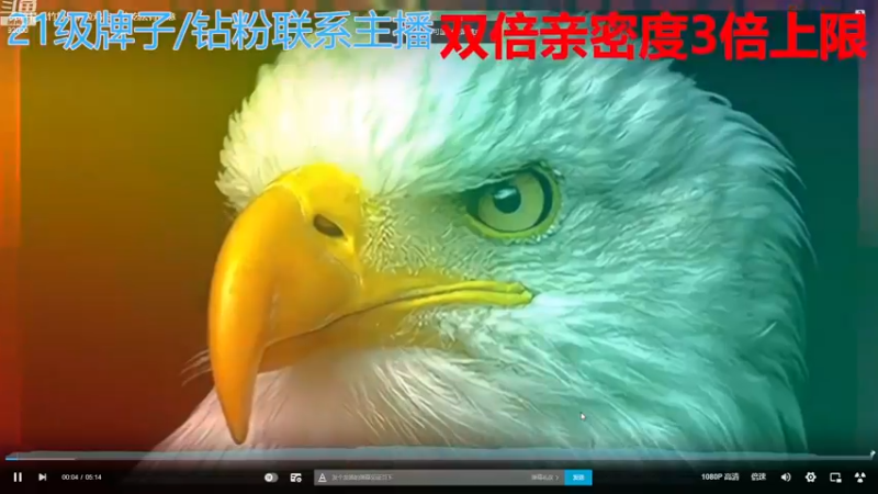 【2022-12-26 02点场】呆妹儿小霸王：【黄金3倍】：一起see