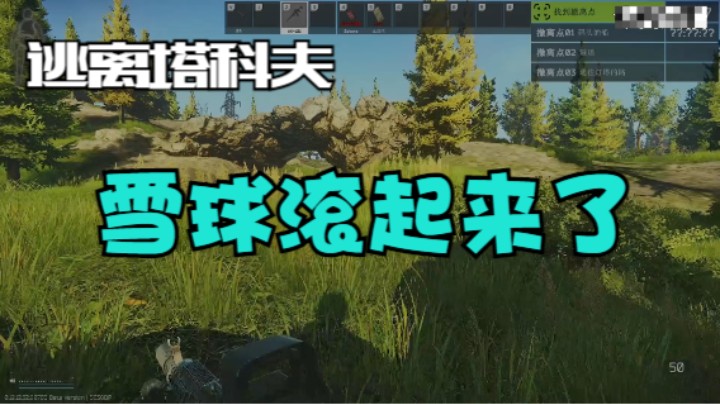 雪球滚起来了