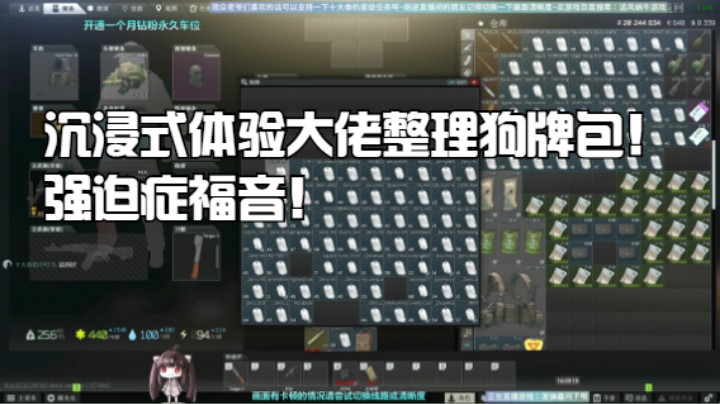沉浸式体验大佬整理狗牌包！强迫症福音！