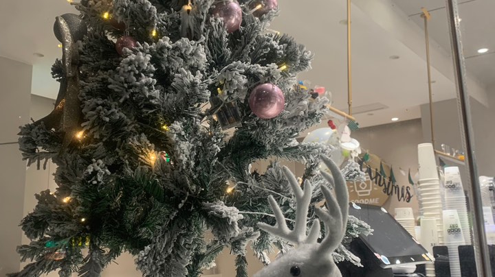 【2022-12-25 23点场】玲酱想养猫:【玲酱】鸭鸭冲！