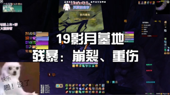 【魔兽世界】19影月墓地奶龙，残暴重伤、崩裂