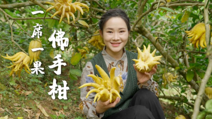 一席一果（二十二）——佛手柑：形似佛手，味美甘醇。既能止咳又能观赏的宝藏水果