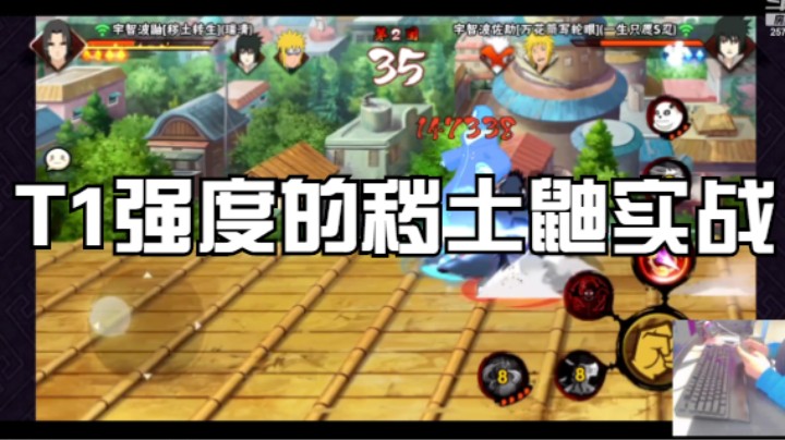 T1强度的秽土鼬实战