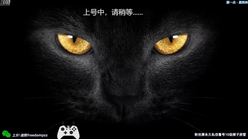 【2022-12-27 18点场】周伍拾：新人主播，王朝排位搞起来