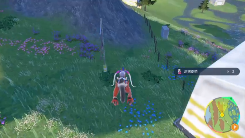 【2022-12-28 05点场】不死鸟3DM：新游戏《宝可梦：猪仔》直播