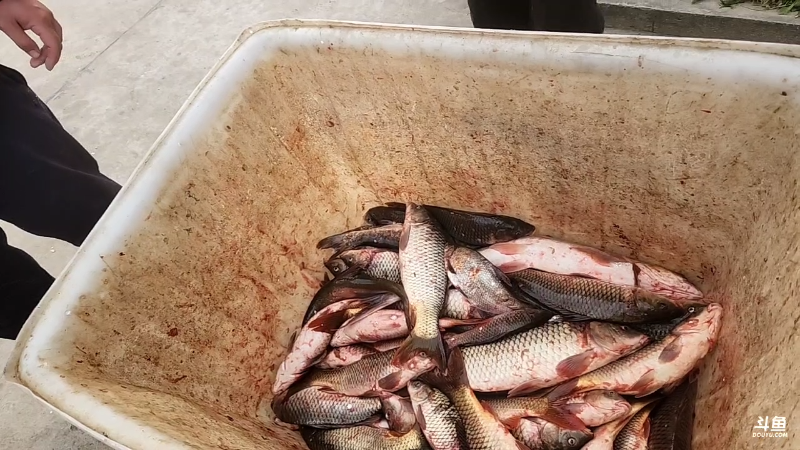 【户外】微山湖捕鱼武工队的精彩时刻 20221228 15点场