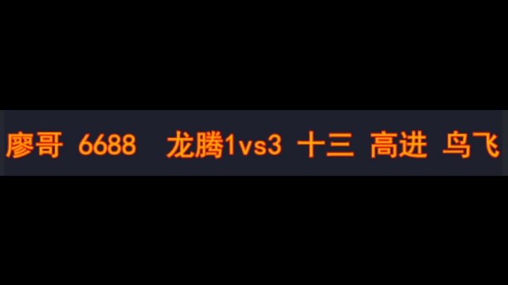 廖哥 6688 龙腾 1vs3 十三 高进 鸟飞 续集