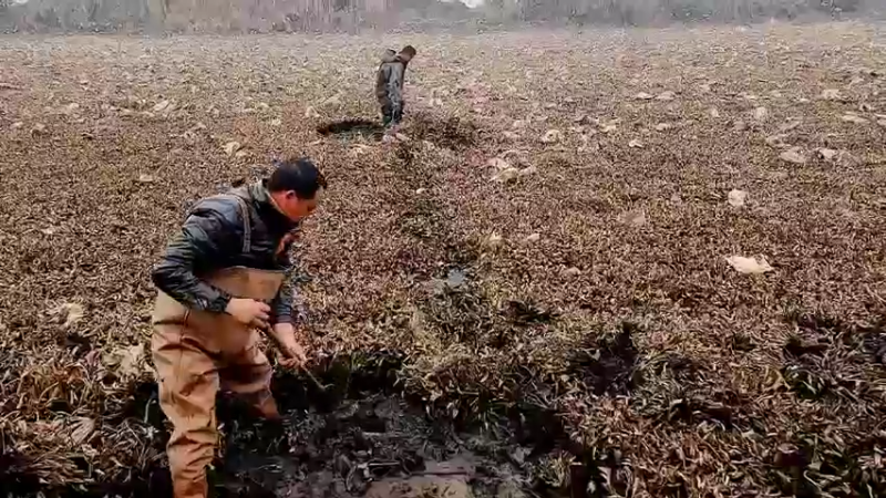 【2022-12-28 12点场】洪湖小肖：十一点开播