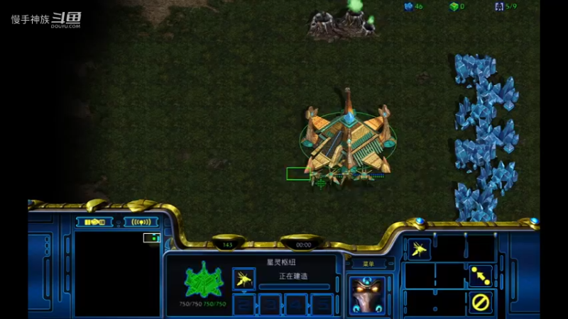 pvz-水螅运气在我这里第一点探到对手-慢手神族-星际