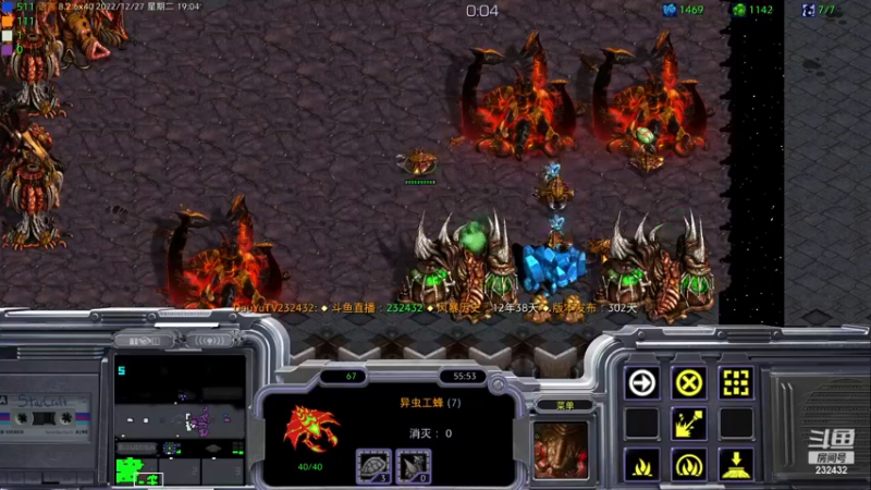 【2022-12-27 19点场】星际DSA联赛：天使风暴专业版DSA8.2.6x40