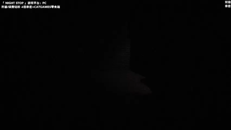 【2022-12-28 00点场】老猫CatGames：【Cat】独立恐怖游戏新作开荒