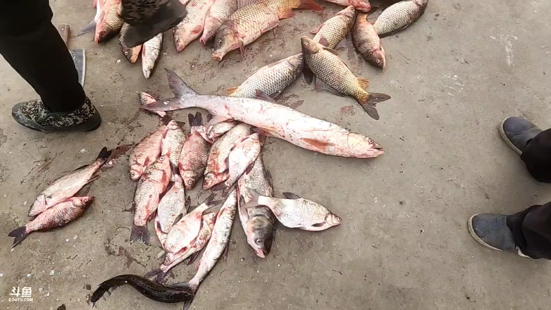 【户外】微山湖捕鱼武工队的精彩时刻 20221228 15点场