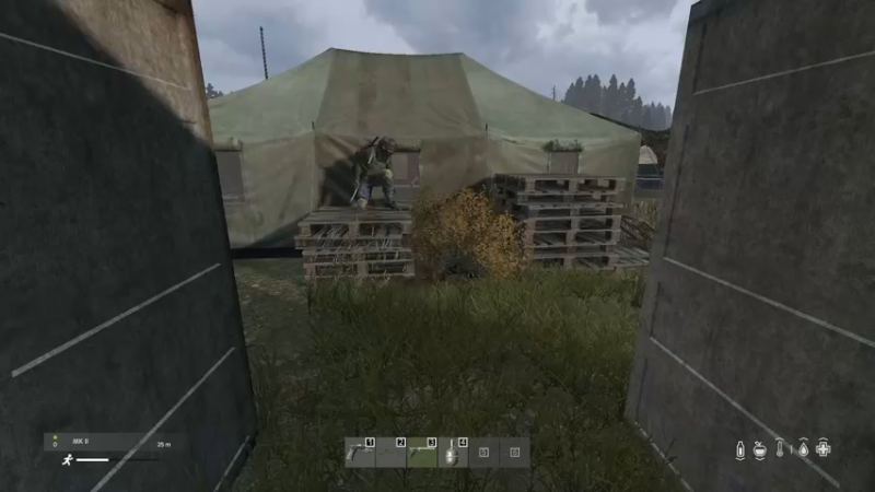 【2022-12-29 15点场】dayz韩爱东西：又是被弄住的一天