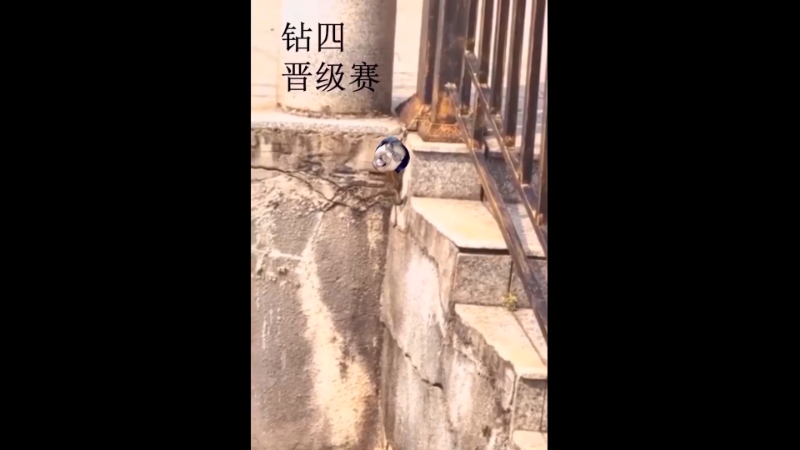 【英雄联盟】洞主丨歌神洞庭湖的精彩时刻 20221229 15点场