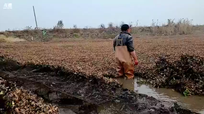 【2022-12-29 14点场】洪湖小肖：十一点开播