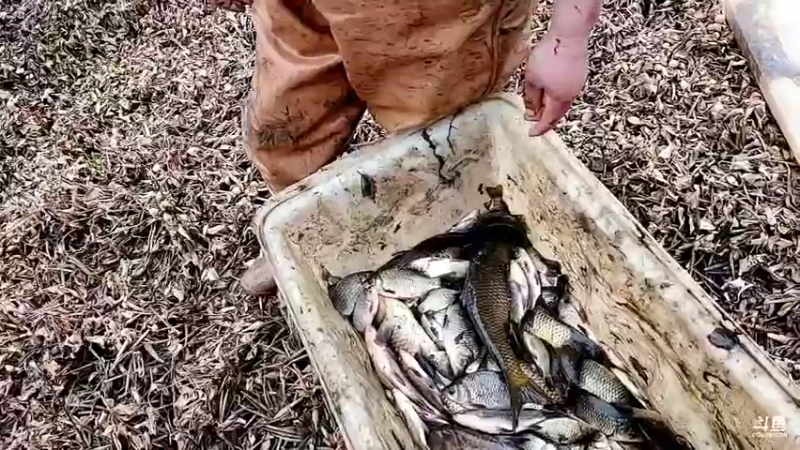 【2022-12-29 16点场】洪湖小肖：十一点开播