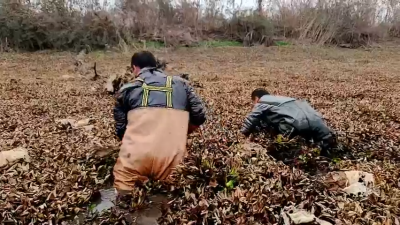 【2022-12-29 12点场】洪湖小肖：十一点开播