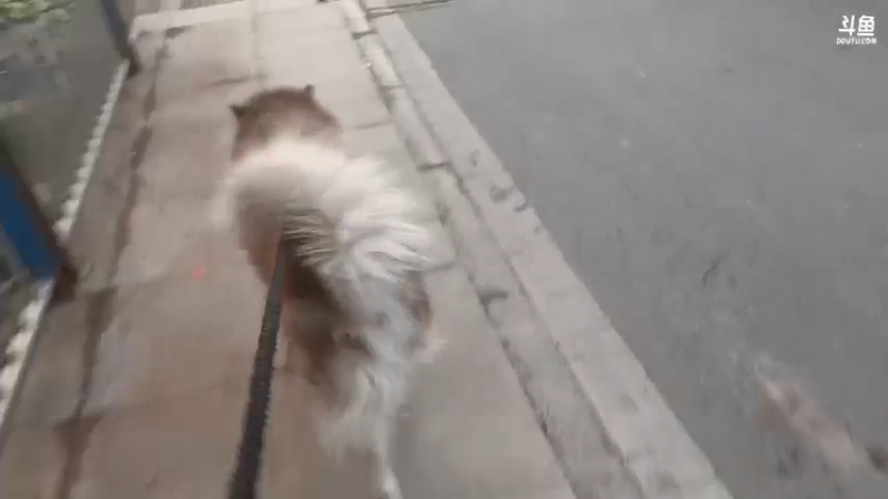 【2022-12-29 16点场】丨绅士瑄丨：天选做饭人！