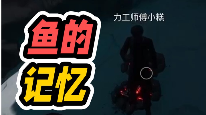 鱼的记忆都比你长