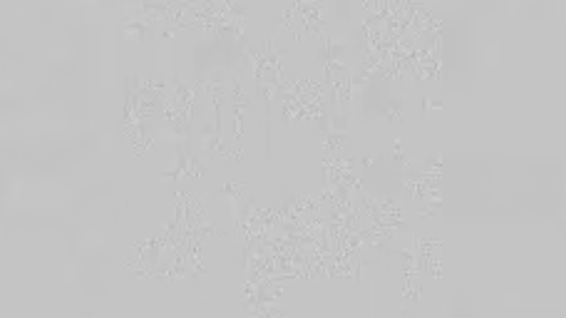 【2022-12-30 13点场】ST九九：该直播了 开播播播播播