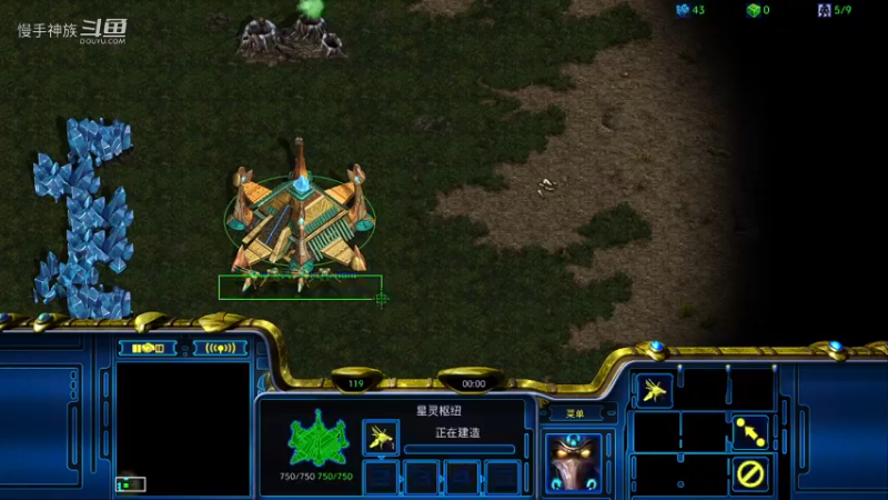 pvz-对付纯狗还得是白球甲虫-慢手神族-星际争霸