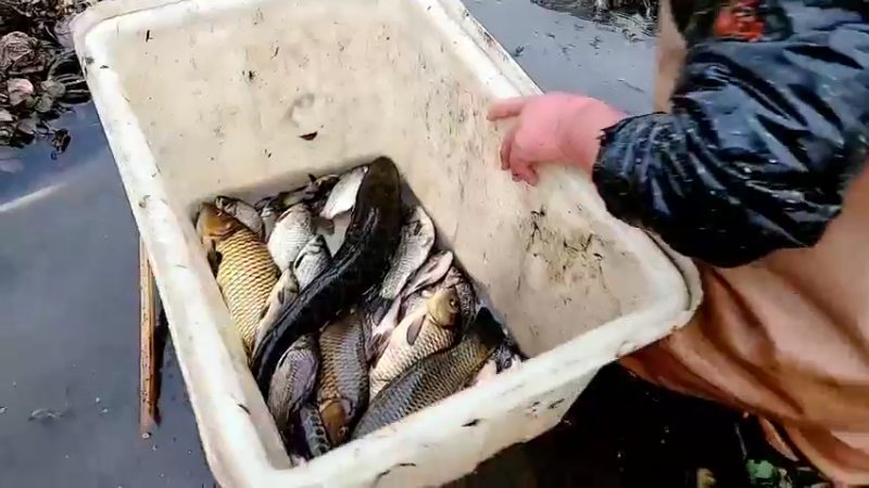 【2022-12-31 17点场】洪湖小肖：今晚跨年放烟花