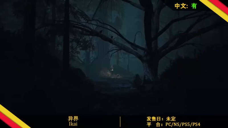 【2022-12-31 18点场】猫叔灬灬：【猫叔】18点年度总结 新年快乐啦~~~