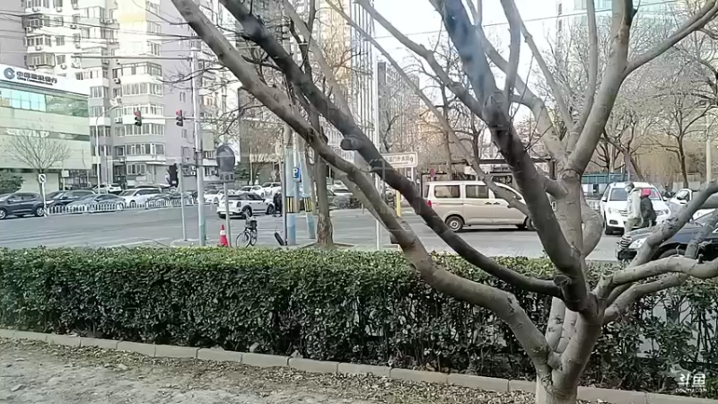 【2022-12-31 16点场】o北京老王o：京城户外！