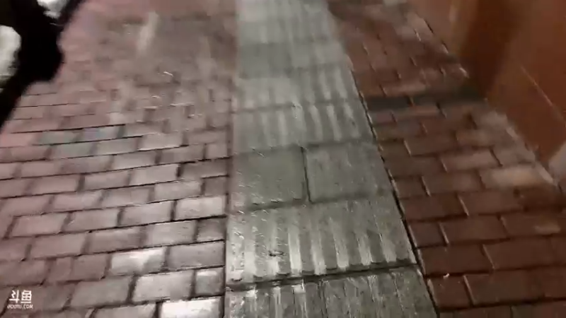 【2022-12-31 19点场】叶子长青K：去店逛一圈 回来跨年dotA