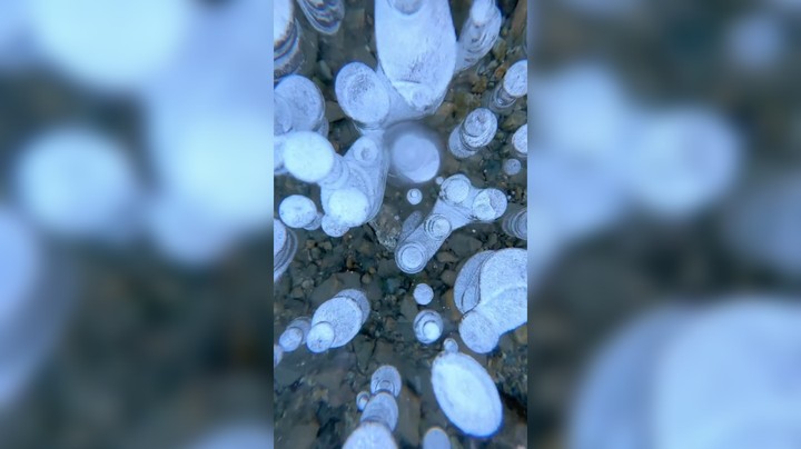 知道为什么自古红颜多薄命吗？因为根本没人注意丑B活了多久。