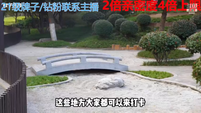 【2023-01-02 02点场】呆妹儿小霸王：【钻石4倍】：一起see~