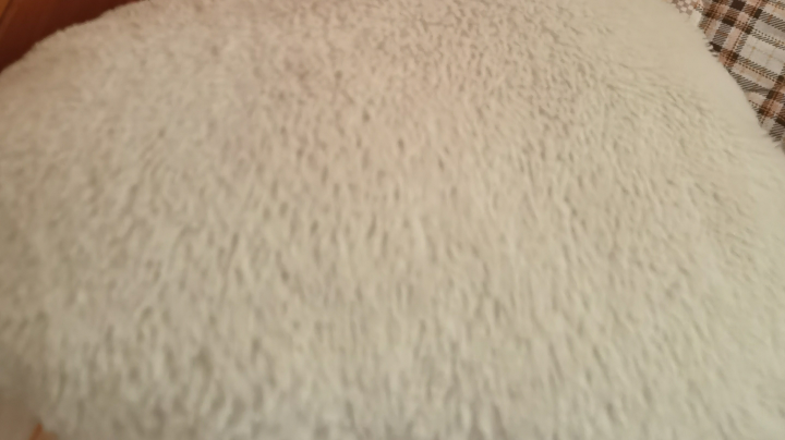 【2022-12-23 15点场】心悦Lauky:掩护啊啊啊啊啊啊