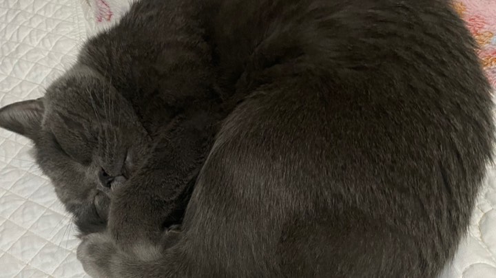 【2023-1-1 19点场】大筒木辉夜夜:永久60哈霍兰NAXX-少年公会